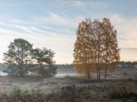 Senne bei Hövelhof © Martin Davies